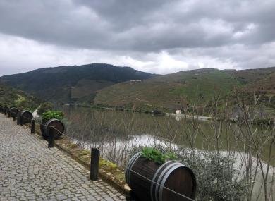 Peso da Regua - 2024