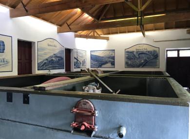 Quinta de Tuedo - Les cuves - 2024